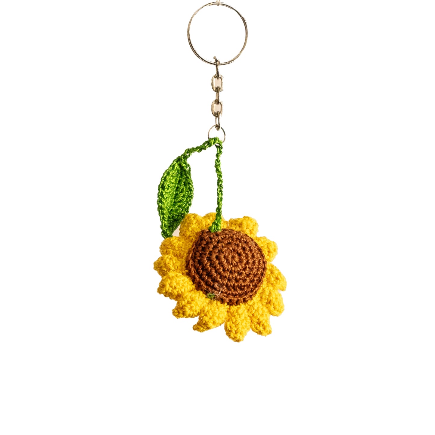 Sunflower Bloom